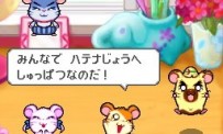 Hi Hamtaro! Little Hamsters Big Adventure : Joue avec les Ham-Hams