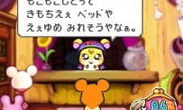 Hi Hamtaro! Little Hamsters Big Adventure : Joue avec les Ham-Hams