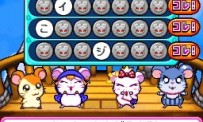 Hi Hamtaro! Little Hamsters Big Adventure : Joue avec les Ham-Hams