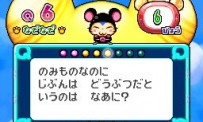 Hi Hamtaro! Little Hamsters Big Adventure : Joue avec les Ham-Hams