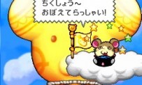 Hi Hamtaro! Little Hamsters Big Adventure : Joue avec les Ham-Hams