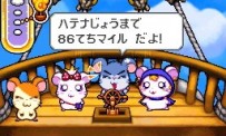 Hi Hamtaro! Little Hamsters Big Adventure : Joue avec les Ham-Hams