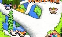 Hi Hamtaro! Little Hamsters Big Adventure : Joue avec les Ham-Hams