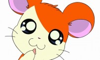 Hi Hamtaro! Little Hamsters Big Adventure : Joue avec les Ham-Hams