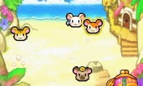 Hi Hamtaro! Little Hamsters Big Adventure : Joue avec les Ham-Hams