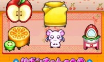 Hi Hamtaro! Little Hamsters Big Adventure : Joue avec les Ham-Hams