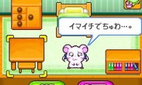 Hi Hamtaro! Little Hamsters Big Adventure : Joue avec les Ham-Hams