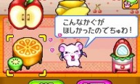 Hi Hamtaro! Little Hamsters Big Adventure : Joue avec les Ham-Hams