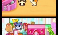 Hi Hamtaro! Little Hamsters Big Adventure : Joue avec les Ham-Hams