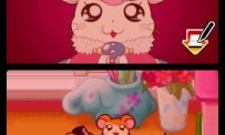 Hi Hamtaro! Little Hamsters Big Adventure : Joue avec les Ham-Hams