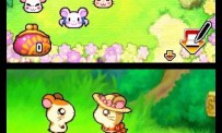 Hi Hamtaro! Little Hamsters Big Adventure : Joue avec les Ham-Hams