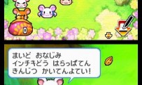 Hi Hamtaro! Little Hamsters Big Adventure : Joue avec les Ham-Hams