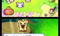 Hi Hamtaro! Little Hamsters Big Adventure : Joue avec les Ham-Hams