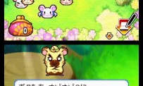 Hi Hamtaro! Little Hamsters Big Adventure : Joue avec les Ham-Hams