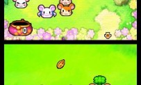 Hi Hamtaro! Little Hamsters Big Adventure : Joue avec les Ham-Hams