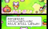 Hi Hamtaro! Little Hamsters Big Adventure : Joue avec les Ham-Hams