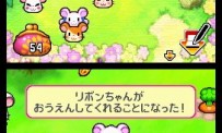 Hi Hamtaro! Little Hamsters Big Adventure : Joue avec les Ham-Hams