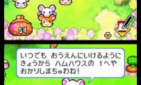 Hi Hamtaro! Little Hamsters Big Adventure : Joue avec les Ham-Hams