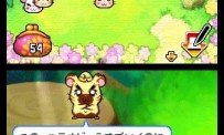 Hi Hamtaro! Little Hamsters Big Adventure : Joue avec les Ham-Hams