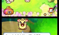 Hi Hamtaro! Little Hamsters Big Adventure : Joue avec les Ham-Hams