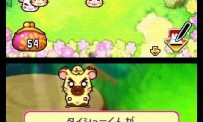 Hi Hamtaro! Little Hamsters Big Adventure : Joue avec les Ham-Hams