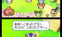 Hi Hamtaro! Little Hamsters Big Adventure : Joue avec les Ham-Hams