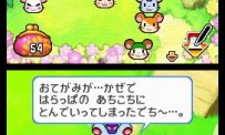 Hi Hamtaro! Little Hamsters Big Adventure : Joue avec les Ham-Hams