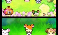 Hi Hamtaro! Little Hamsters Big Adventure : Joue avec les Ham-Hams