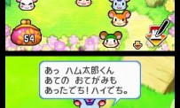 Hi Hamtaro! Little Hamsters Big Adventure : Joue avec les Ham-Hams