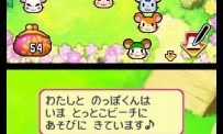 Hi Hamtaro! Little Hamsters Big Adventure : Joue avec les Ham-Hams