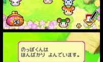 Hi Hamtaro! Little Hamsters Big Adventure : Joue avec les Ham-Hams