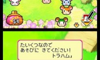 Hi Hamtaro! Little Hamsters Big Adventure : Joue avec les Ham-Hams