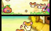 Hi Hamtaro! Little Hamsters Big Adventure : Joue avec les Ham-Hams