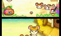 Hi Hamtaro! Little Hamsters Big Adventure : Joue avec les Ham-Hams