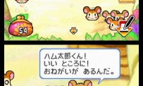 Hi Hamtaro! Little Hamsters Big Adventure : Joue avec les Ham-Hams