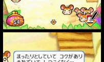Hi Hamtaro! Little Hamsters Big Adventure : Joue avec les Ham-Hams