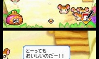 Hi Hamtaro! Little Hamsters Big Adventure : Joue avec les Ham-Hams