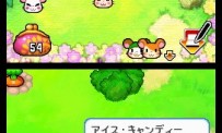 Hi Hamtaro! Little Hamsters Big Adventure : Joue avec les Ham-Hams