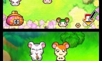 Hi Hamtaro! Little Hamsters Big Adventure : Joue avec les Ham-Hams