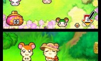 Hi Hamtaro! Little Hamsters Big Adventure : Joue avec les Ham-Hams