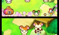 Hi Hamtaro! Little Hamsters Big Adventure : Joue avec les Ham-Hams