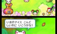 Hi Hamtaro! Little Hamsters Big Adventure : Joue avec les Ham-Hams