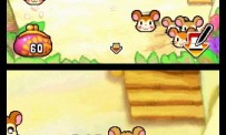 Hi Hamtaro! Little Hamsters Big Adventure : Joue avec les Ham-Hams