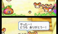Hi Hamtaro! Little Hamsters Big Adventure : Joue avec les Ham-Hams