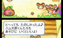 Hi Hamtaro! Little Hamsters Big Adventure : Joue avec les Ham-Hams