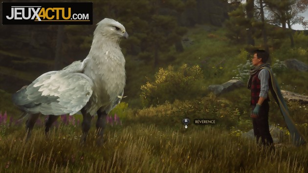 Hogwarts Legacy : L Héritage de Poudlard