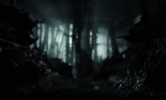 Hunt : Showdown