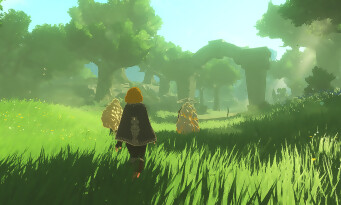 Hyrule Warriors : Les Chroniques du Sceau
