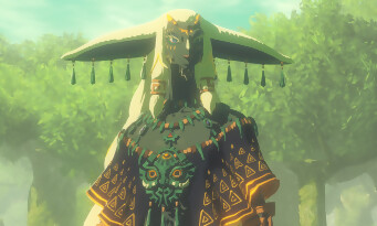 Hyrule Warriors : Les Chroniques du Sceau