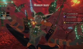 Hyrule Warriors : Les Chroniques du Sceau